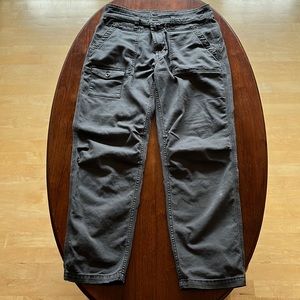 The Wanderer Utility Pants by Anthropologie Women’s 30